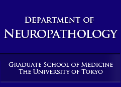 Department of Neuropathology, Graduate School of Medicine, The University of Tokyo