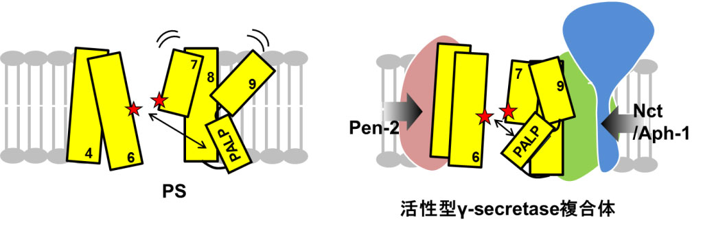 論文概要