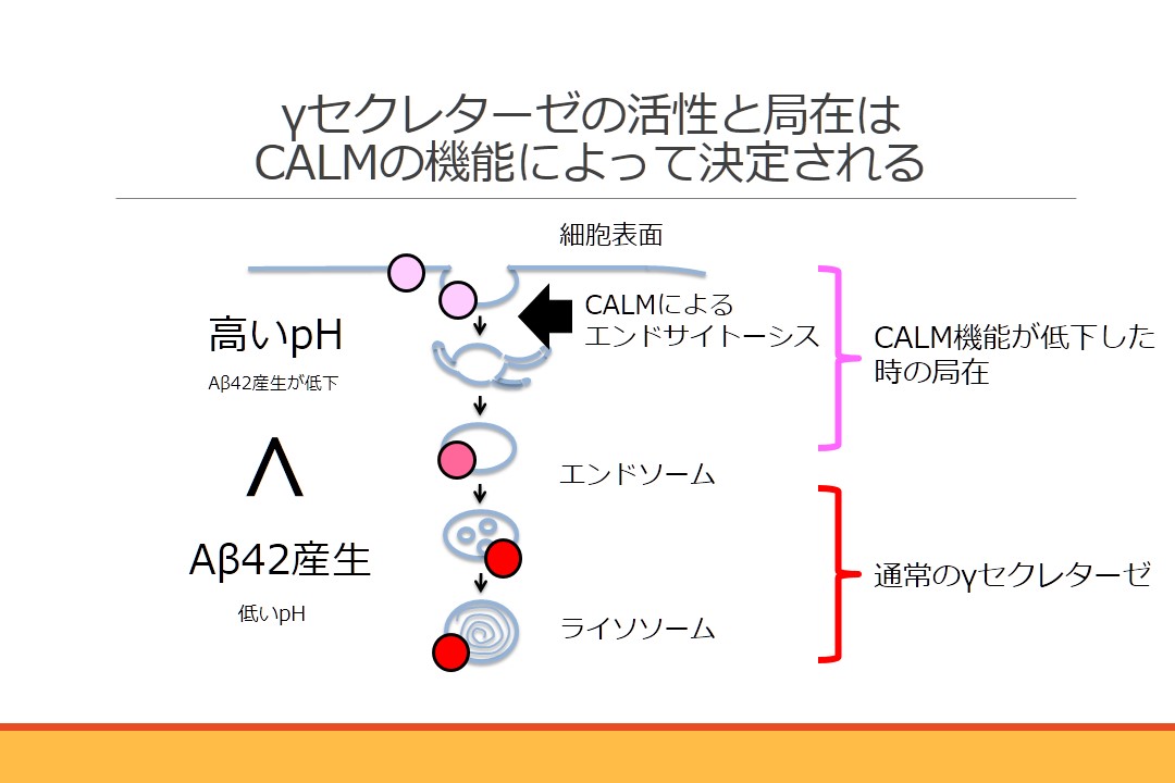 論文概要