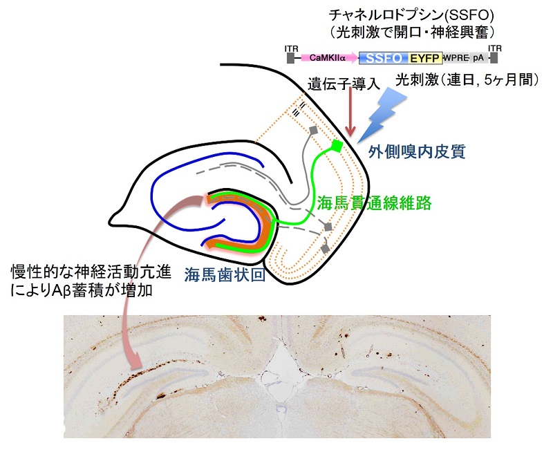 論文概要