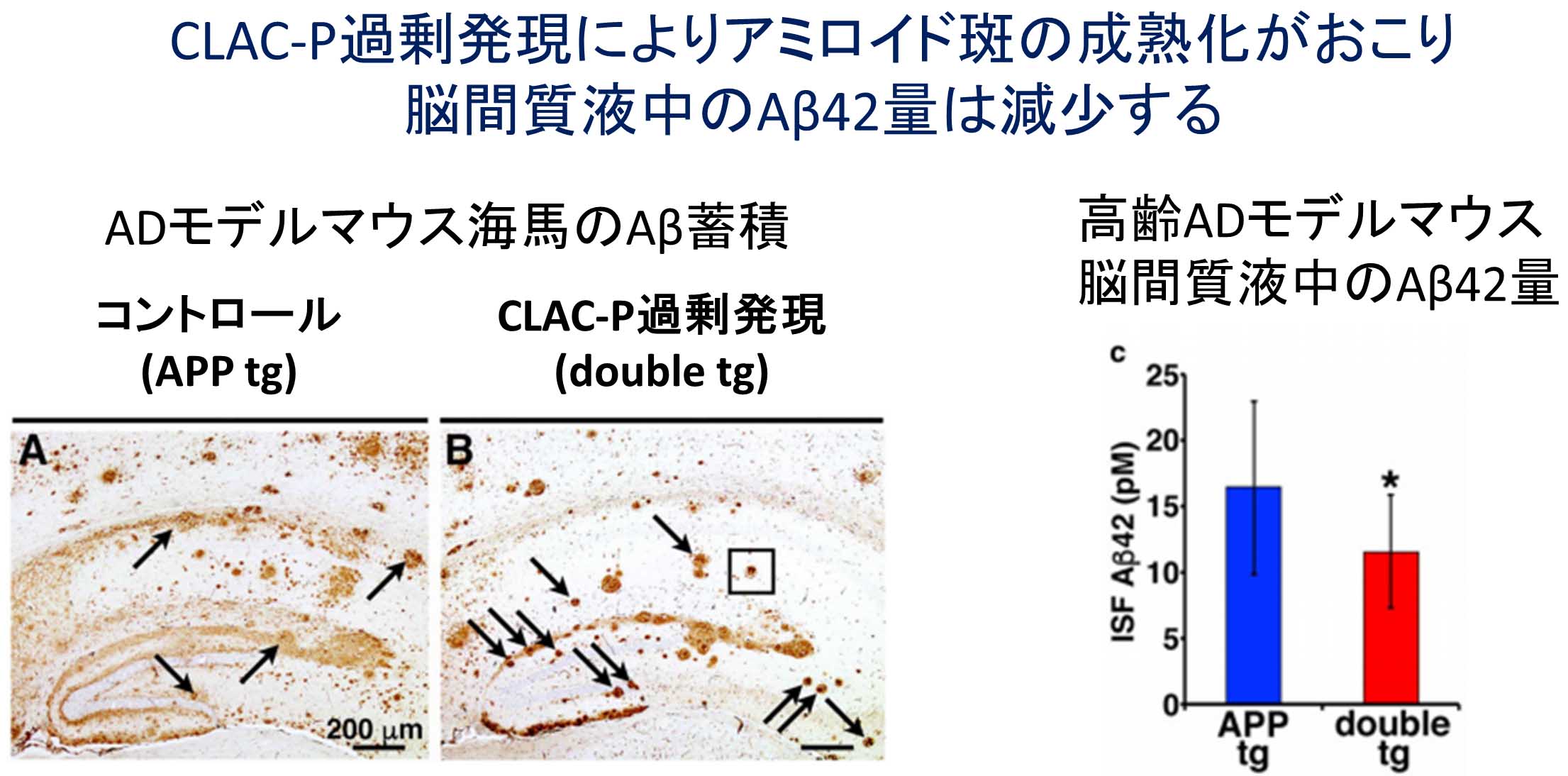 論文概要