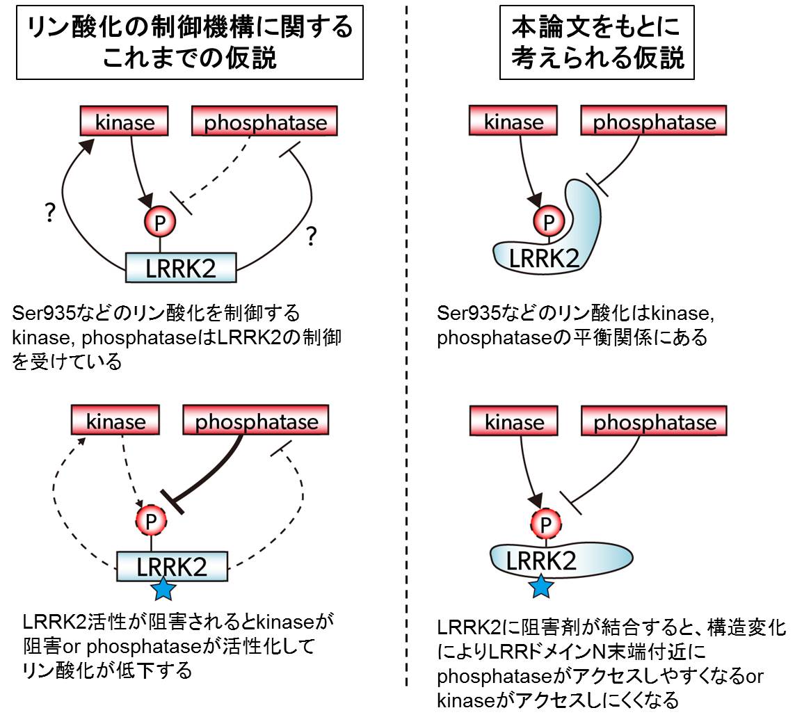 論文概要