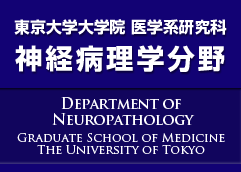 東京大学大学院 医学系研究私E神経病琁E��刁E�� / Department of Neuropathology, Graduate School of Medicine, The University of Tokyo